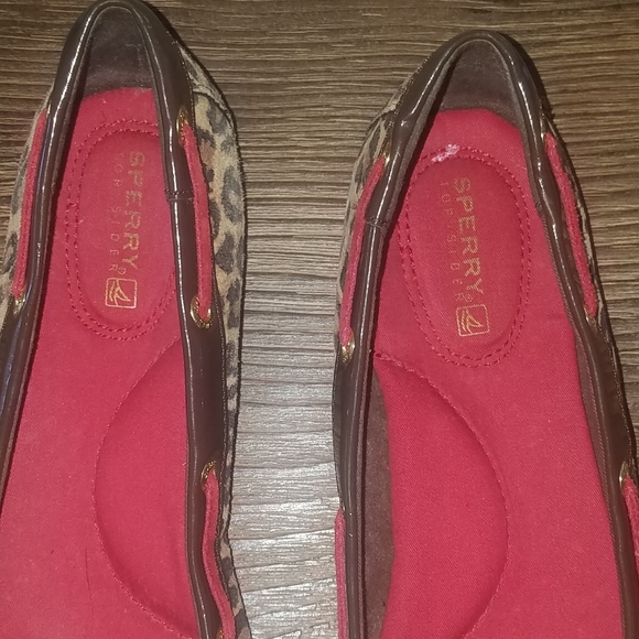 Sperry Flats - Picture 4 of 6